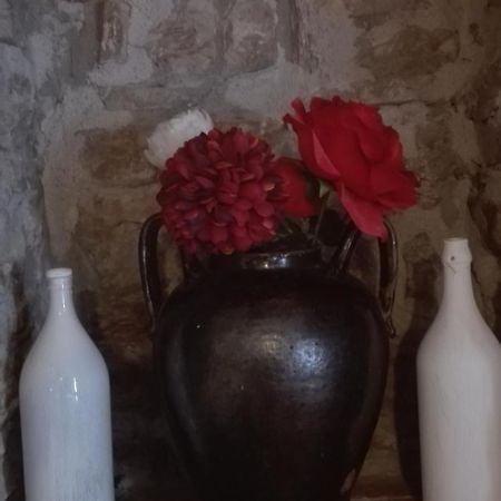 Agriturismo La Vecchia Cascina Di Paolo & Belinda Villa ปิเอเตรลชินา ภายนอก รูปภาพ