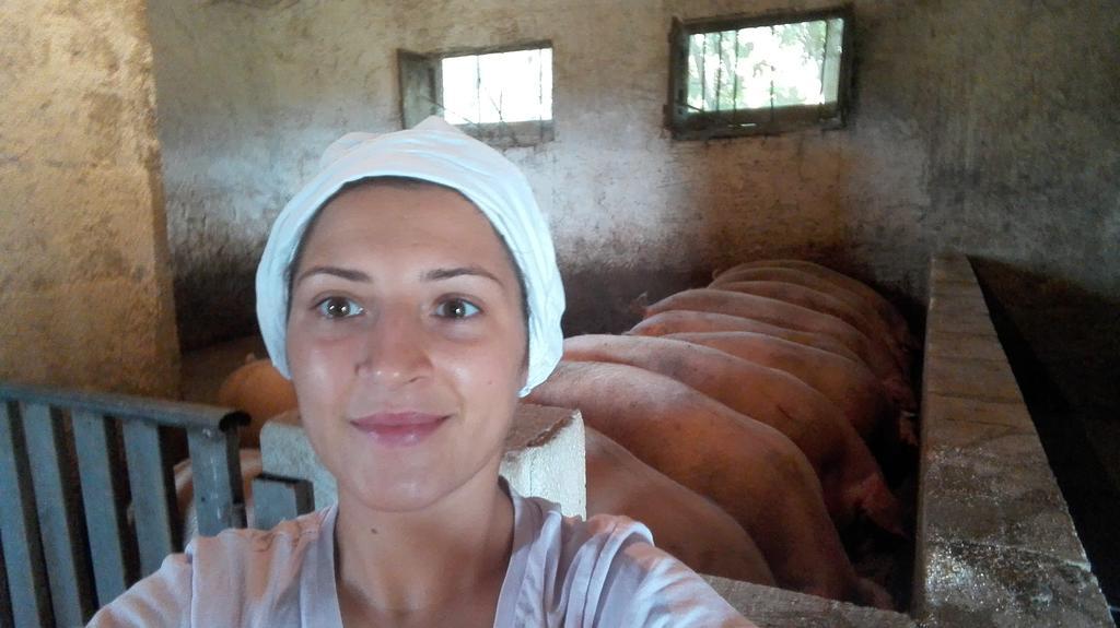 Agriturismo La Vecchia Cascina Di Paolo & Belinda Villa ปิเอเตรลชินา ภายนอก รูปภาพ